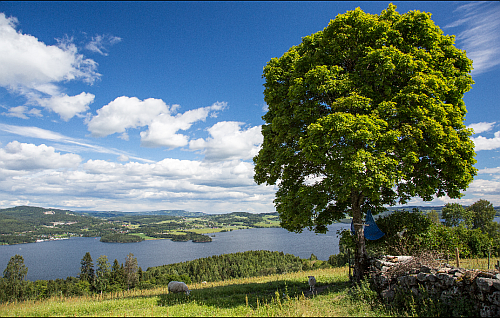 917007283_21300_olavsweg_08_500px